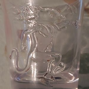Fireball shot glass
